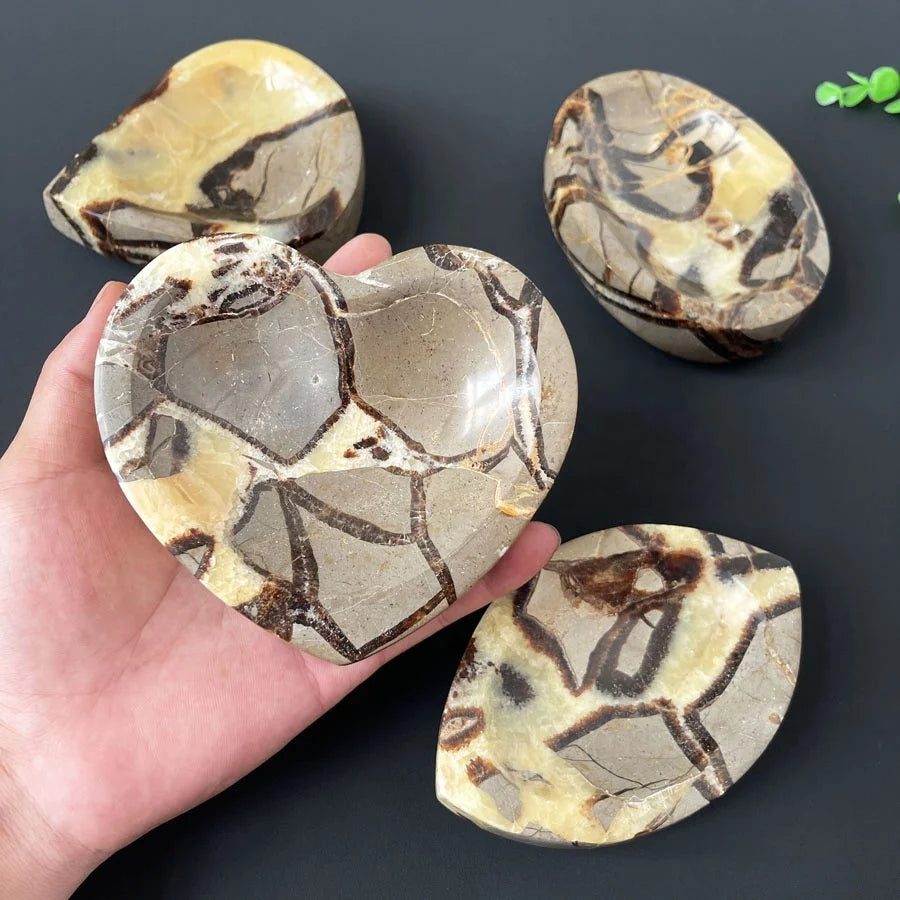Wholesale Hand Carved Healing Crystal Stones Gemstone Bowls Septarium Bowl for Decoration