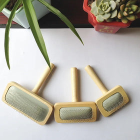 Wholesale Self-Cleaning Cat Hair Paw Slicker Brush Silicone Wood for Dog Grooming Bathroom Use Manufacturer's Pet Hair Remover