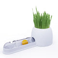 Modern Plastic Cat Toy Splicing Track Teaser with Cat Ball & Grass Potted Mint for Feline Fun