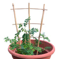 New Launched Eco-friendly Farm Bamboo Cane Plants Ladder Bamboo Pole Rack Bamboo Stake Trellis Raising RS33007 All-Season