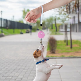 Hot Pet Product Mini Dog Leash Lightweight Portable Dog Rope Retractable Dog Leash