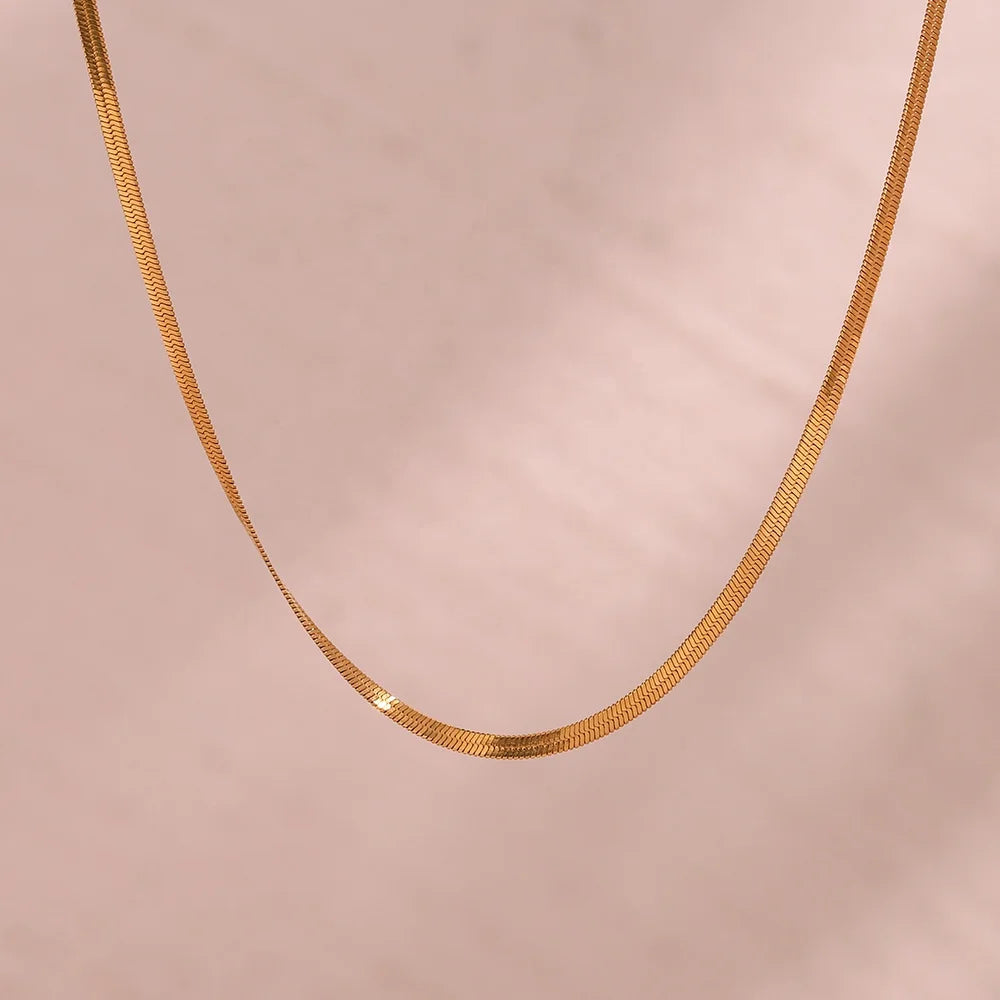 Minimalist Jewelry 18K Gold Plated Chain Necklace Tarnish Free Jewelry Stainless Steel Balde Chain Choker