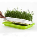 High Quality Plant Tray for Growing Seedlings Germination Tray Hydroponic System With Trays