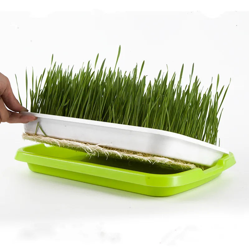High Quality Plant Tray for Growing Seedlings Germination Tray Hydroponic System With Trays