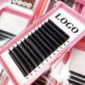 Wholesale Eyelash Extension Silk Lashes 0.02 Korean PBT Synthetic Material Lashes Free Samples