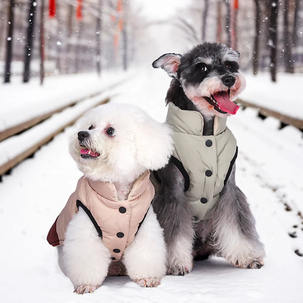 Clearance New Fashion Dog Cotton-padded Leisure Jacket Windproof Warm Coat Color-matching Simple Winter Outgoing Pet Clothes