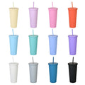 Colorful 16oz Double Wall Drinkware Water Cup BPA Free Matte Acrylic Matte Tumbler with Lid and Straw