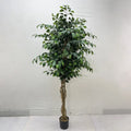 L968 Artificial Newest Landscape 20254 Home Decor Indoor Table Top Banyan Tree Lictus Trees Indoor Decoration Banyan Tree