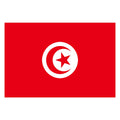 Ready to Ship Fast Shipping 100% Polyester Flags 3x5ft Tunisia All Country Flag