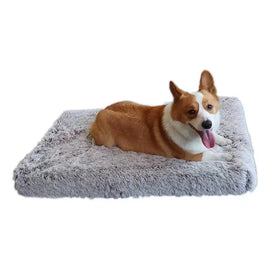 Kingtale Wholesale Soft Chic Dog Bed Cat Bed Cocoa 24L 19W 1.75H Inches for Small Dog Breeds