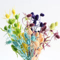 M040 Wholesale Dry Flower Decoration Preserved Natural Thistles Bunches Valentine Fruit Dried Eryngium Dried Globe Thistle