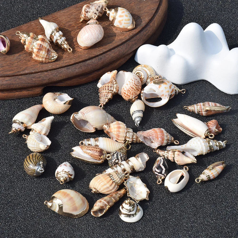 Wholesale Hawaiian Ocean Style Natural Sea Conch Shell for Home Office Decoration Shell Craft Pendants Charm for Jewelry Making