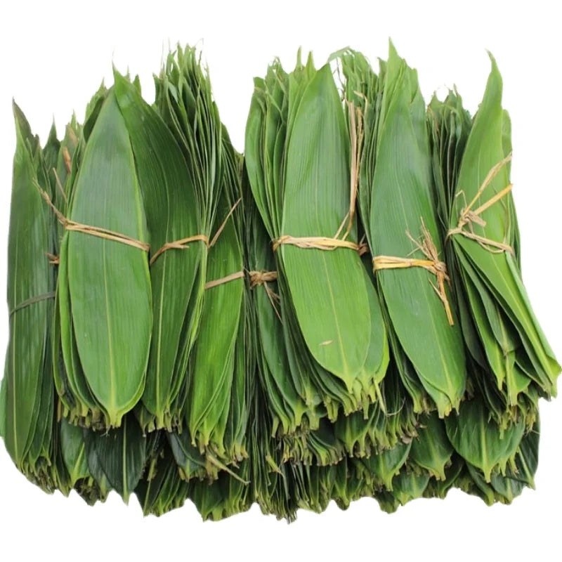 Premium Quality Raw Dried Green Natural Whole Bamboo Indocalamus Leaf