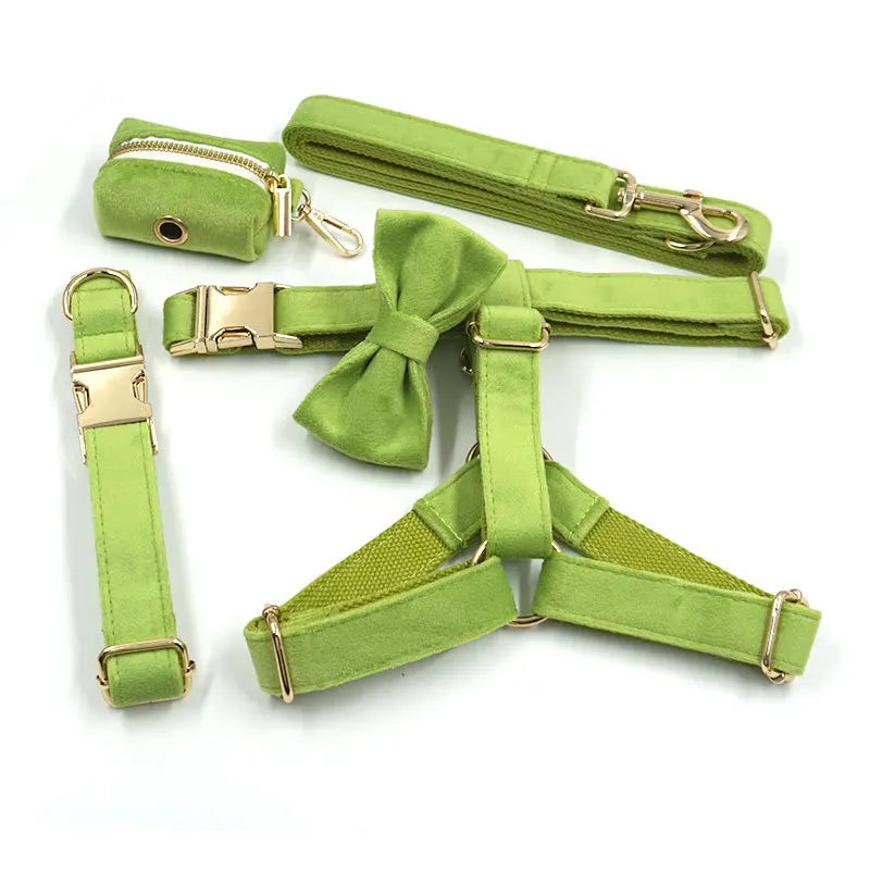 Contact Us for Designer Harness Collar Available Velvet Gold Buckle Collar Leash with Bowknot Dog Poop Bag Set