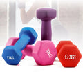 Wholesale Cast Iron Barbell and Dumbbell Set Red Blue Green Color Plastic Dip in Dumbbell