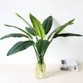 H0775 Hot Sale Large Artificial Bird of Paradise Plastic Tropical Leaves Foliage Real Touch Bird of Paradise Leaf for Decoration