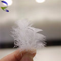 1-20 Ply Colorful Gorgeous Ins 13-15-18 cm  Top Quality Cheap Boa Ostrich Feather Trim for Cloth Decoration Party Wedding Event