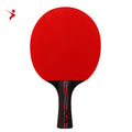 LEJIAER 4 Star  Ping Pong Paddle Top Quality OEM Wood Advance Table Tennis Racket of Competition Premium Rubber Pingpong Bat