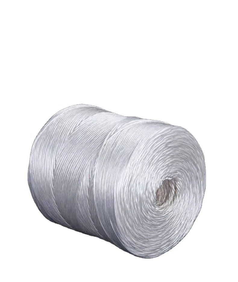 Agriculture Baling PP Eco-friendly Split-Film Baler Twisting Rope Coil Packaging Customized Diameter Length HUARUI Brand China