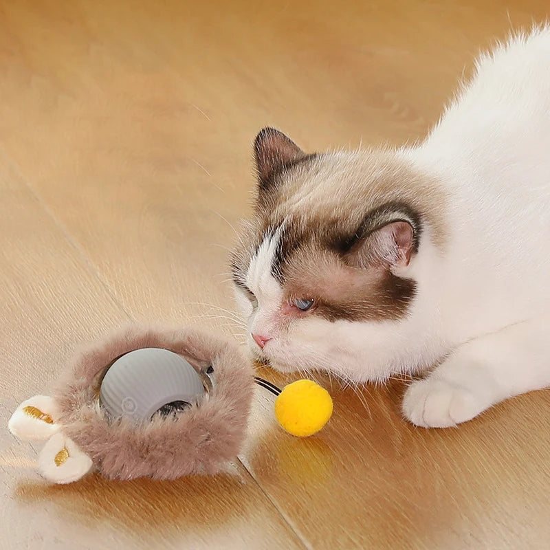 Interactive Silicone Fashion Cat Toy Ball 2025 New Self-Rolling Smart Automatic Motion with Lights