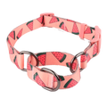 Orange Pink Watermelon Design Medium Puppy Dog Safety Collar Custom Polyester Breakaway Martingale Featuring Animal Pattern