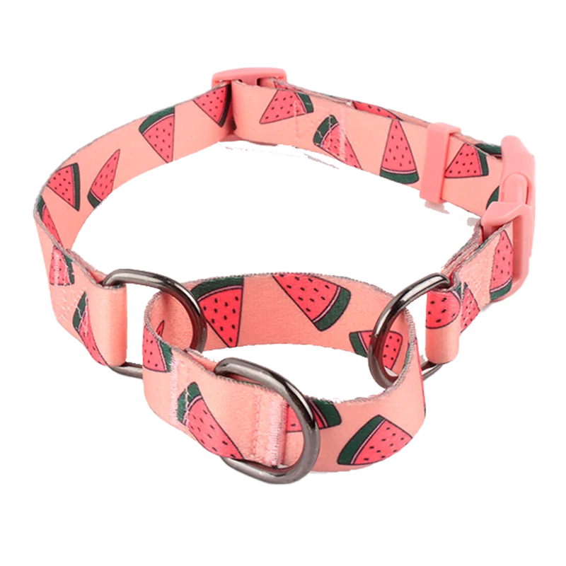 Orange Pink Watermelon Design Medium Puppy Dog Safety Collar Custom Polyester Breakaway Martingale Featuring Animal Pattern