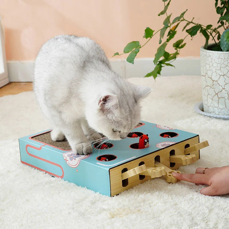 Pet Products Scratch Board Whack-a-mole Cat Toy Tease Interactive Cat Chew Toys