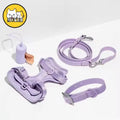 Custom Logo Wholesale Dog Safety Collar Leash Set Adjustable Lightweight Polyester Fashion Pet Vest XS XL Sizes Comfortable
