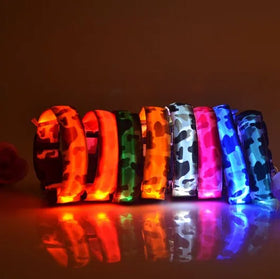 Wholesale Camouflage Collares Led Para Perros Led Dog Collar Usb Rechargeable