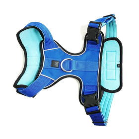 Customized Large Pitbull Dog Harness Soft Neoprene Padded Lining Nylon and Stainless Steel Materials