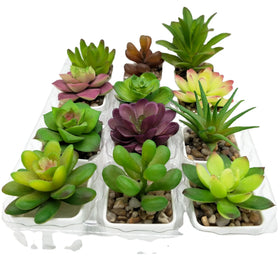 Indoor Faux Real Touch Tropical Plants Set Plastic Flower Artificial Succulent Plants