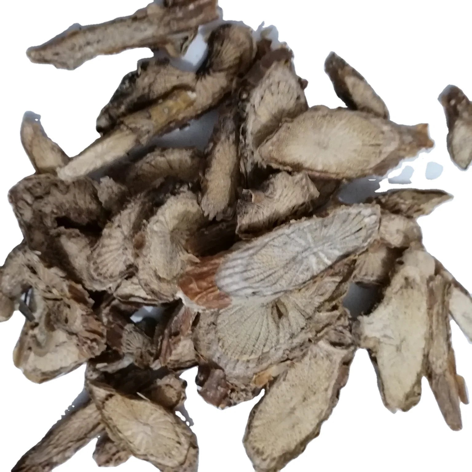 Raw Dried Tinospora Sinensis Sliced Tinospora Sinensis Stems for Herb