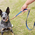 Waterproof Convertible Dog Leash Custom Hand Free Navy Blue Pet Leash Adjustable Dog Strap