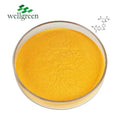 Free Sample Dietary Supplements Folic Acid Feed Grade Vitamb9 C19h19n7o6 Vitamin B9 Powder