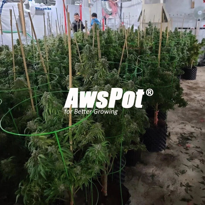 AwsPot 10205060100 Gallon air Pe Pots Root Roll Container for Trees Growing Hedges