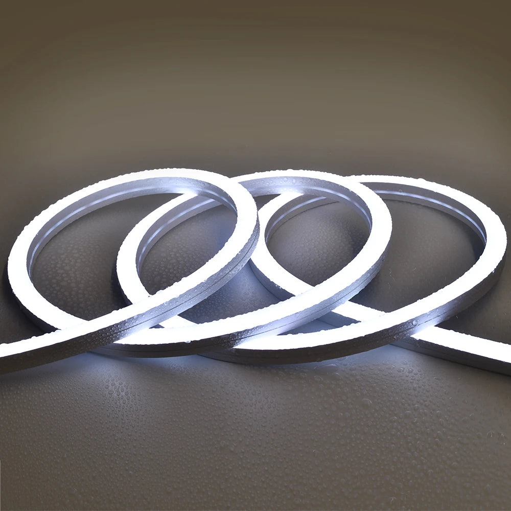 China Factory Waterproof IP67 10x10 Neon Tube Smd2835 Nature White Light  12v 180leds 5mm Strip Light for Garden Lighting