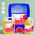 Cold Pressed Pomegranate Seed Oil Punica Granatum Virgin Oil Rich in Punicic Acid for Skincare MSDS COA Verified Manufacturer