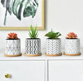 Attractive Home Decoration Cylinder Wholesale Succulent Planter Ceramic Pot