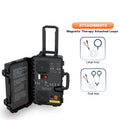 Newest Machine Horse Pemf Double Loop  Horse Deep Oscillation Therapy Machine for Sport Rehabilitation