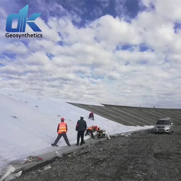 PET Filament Nowoven Geotextile for Landfill and Roadbed Reinforced