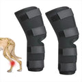 Orthopedic Recovery Protector Sleeve Dog Knee Brace Neoprene Dog Leg Brace Support for Hind Legs