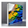 Backlit Trade Show Display Backdrop Stand with Aluminum & Fabric 10x10ft Booth Size DIY Tool-Free Setup