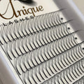 Ultra Dark Black 2D 3D 4D 5D 6D Volume Lashes Short Stem Pointy Base Premade Fans
