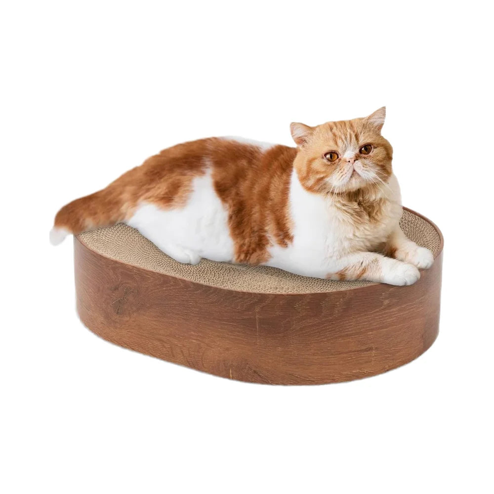 Oval Cat Scratcher Cardboard Bed Interactive Kitty Training Toy Recycled Board Cat Scratching