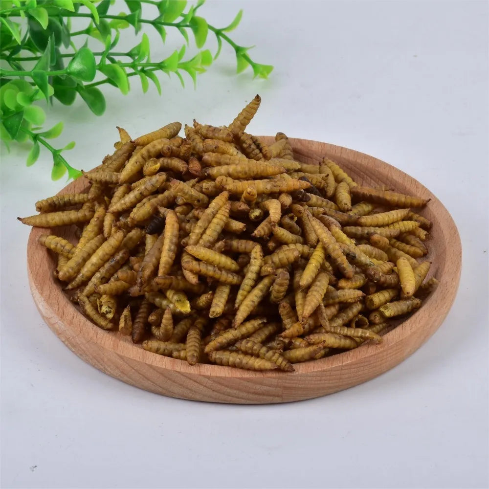 Dried Black Soldier Fly Larvae for Bird Pet Food High Protein BSF