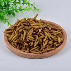Dried Black Soldier Fly Larvae for Bird Pet Food High Protein BSF