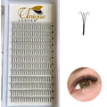 Korean PBT Fiber  Pre Made Pointy Base Volume Fan Eyelash Extensions 3D0 .05 0.07MM