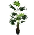 Wholesale Artificial Fan Palm Tree 180cm PE Trunk Steel Leaves Plastic Fabric 5-8 Year Lifespan Olive Leaf Type Artificial Plant