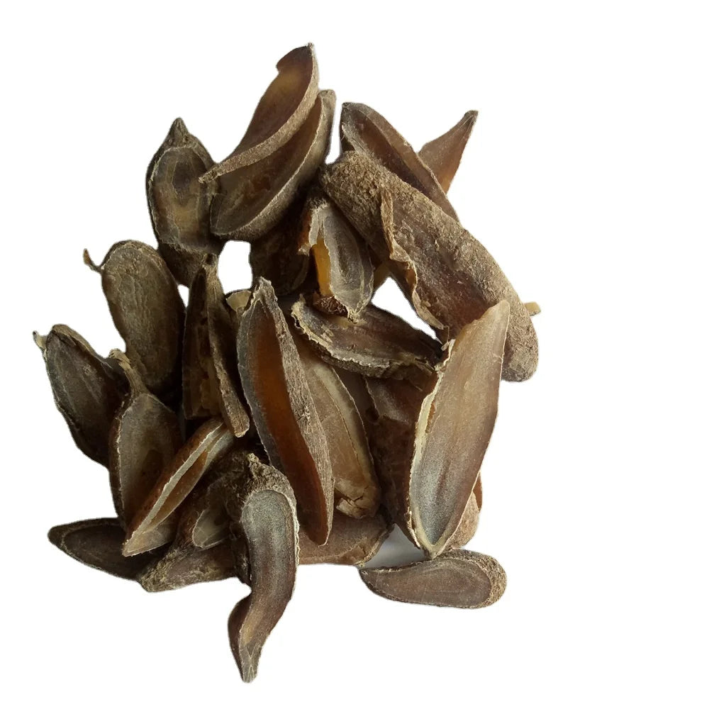 Wen Yu Jin Traditional Chinese Herb Dried Radix Curcumae for Sale