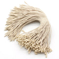 Hot Selling Cheap Clothes Hanging Bullet Lock With Pin Swinging Hang Tag String Lanyard Label Clothes